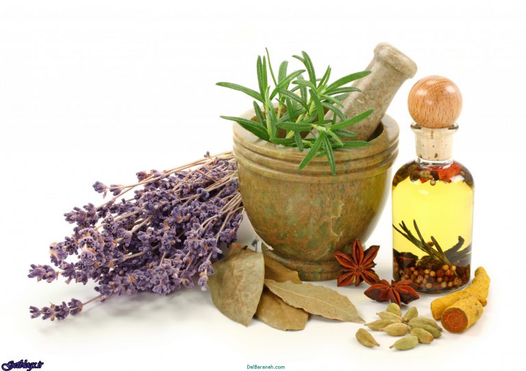 تولید داروی تازه جهت درمان بیماری کبد چرب
